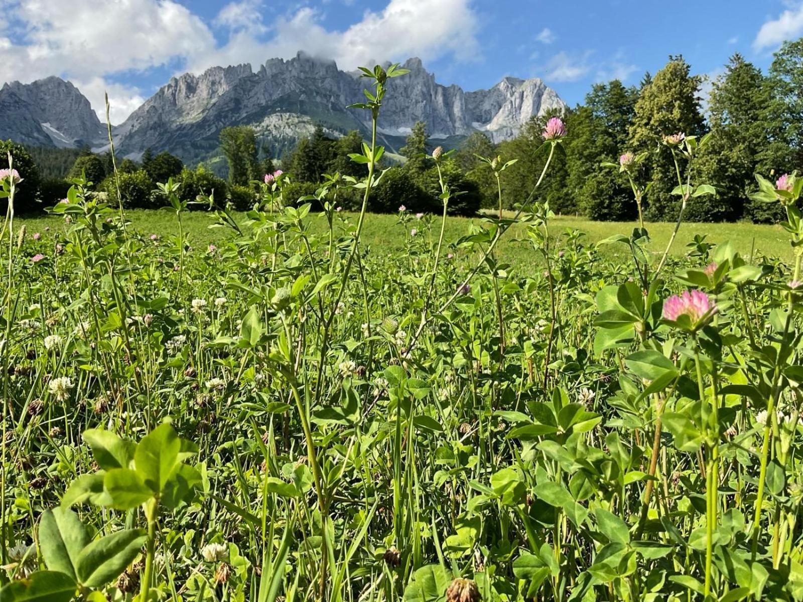 Kitz Deluxe Suite 1 & 2 Im Zentrum Mit Eigenem Spa & Parken By Belle-Stay Kitzbühel Buitenkant foto